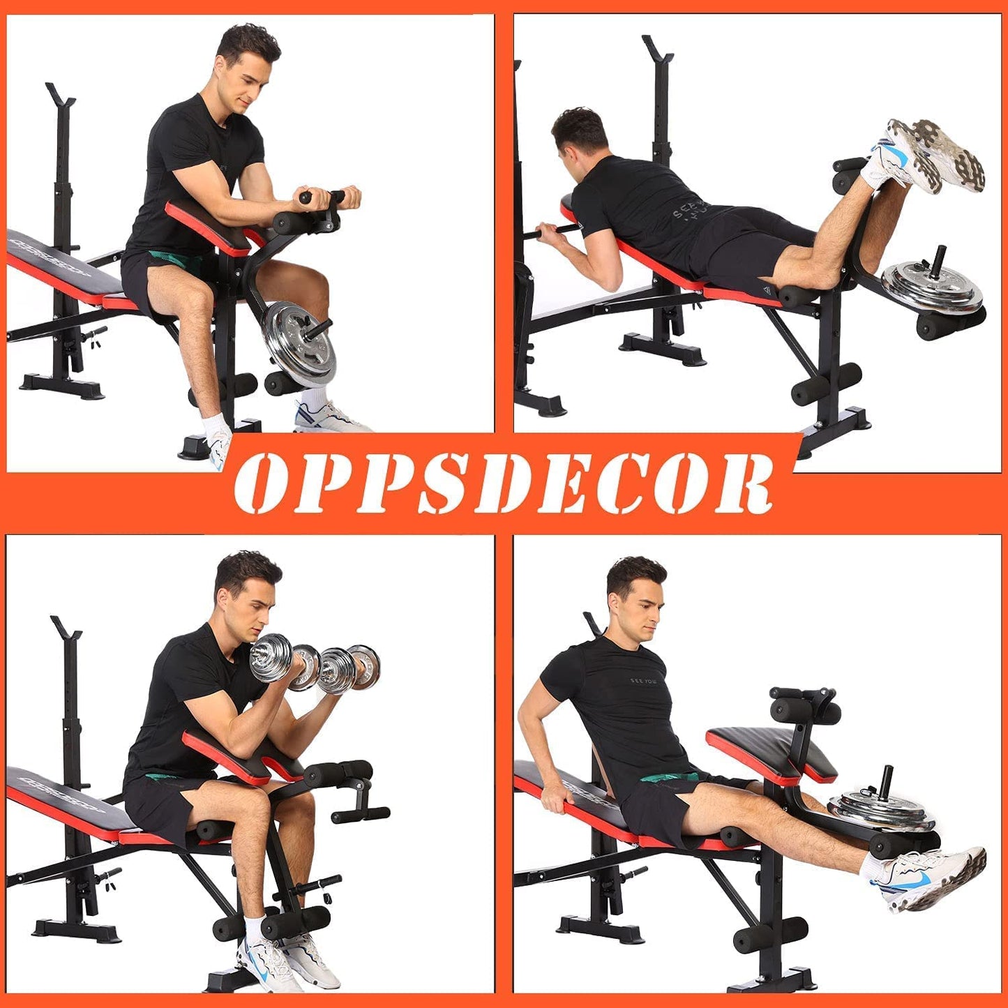 Preacher Curl and leg developer
