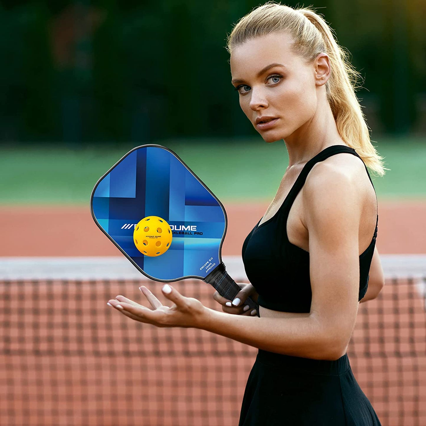 Pickleball Paddles Pickle Ball Raquette Set Premium Graphite Carbon Pickleball Paddle Set of 2 Paddles 4 Pickleballs and Carry Case Pickleball Set USAPA Approved Premium Pickleball Rackets