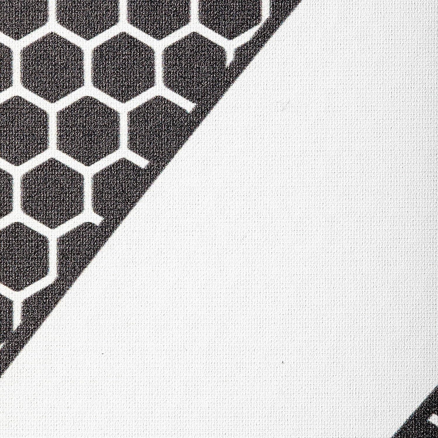 ONIX Graphite Z5 Graphite Carbon Fiber Pickleball Paddles with Cushion Comfort Pickleball Paddle Grip - USA Pickleball Approved